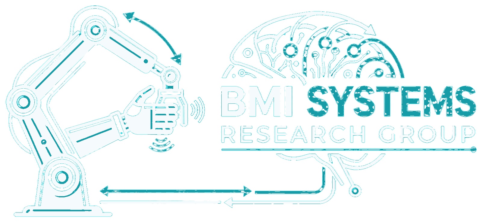 BMI Systems Research Group