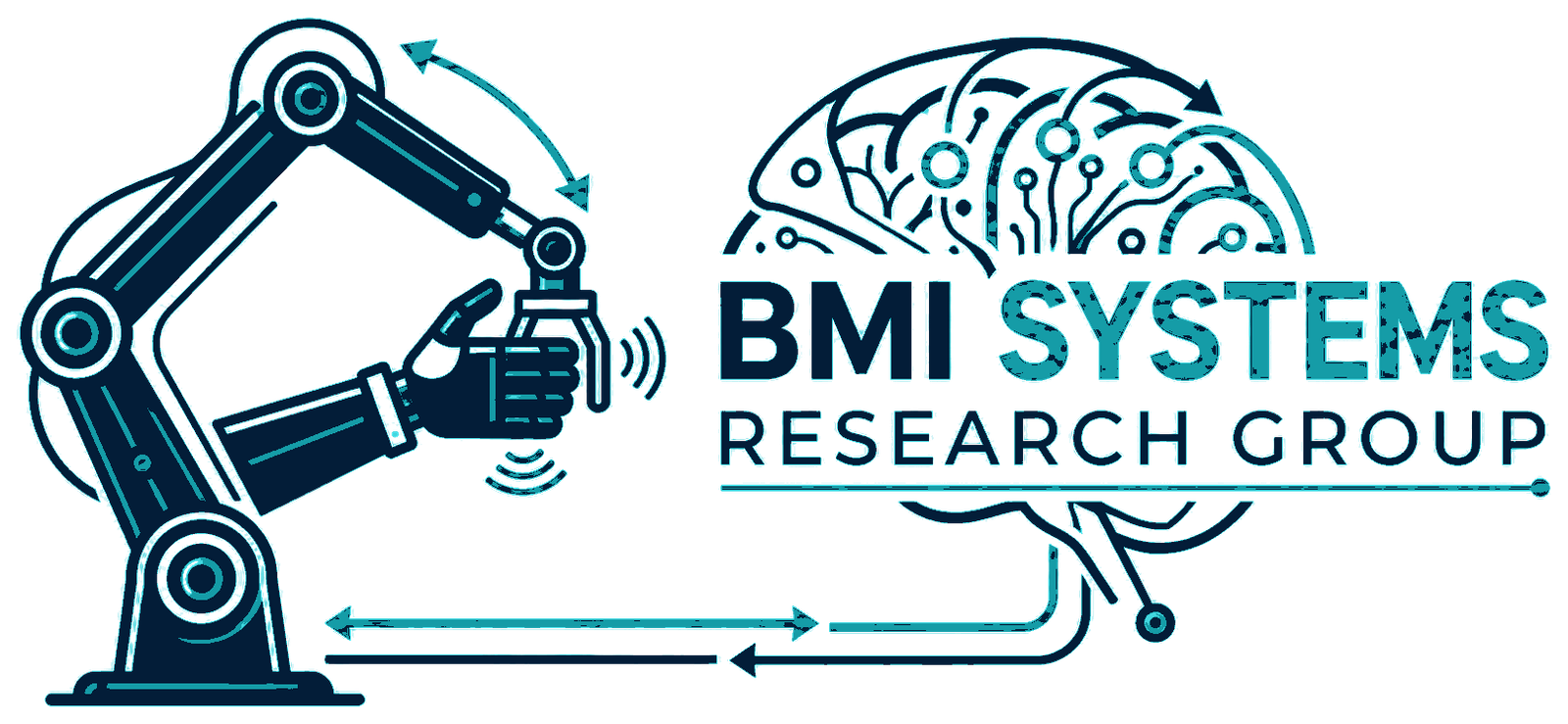 BMI Systems Research Group
